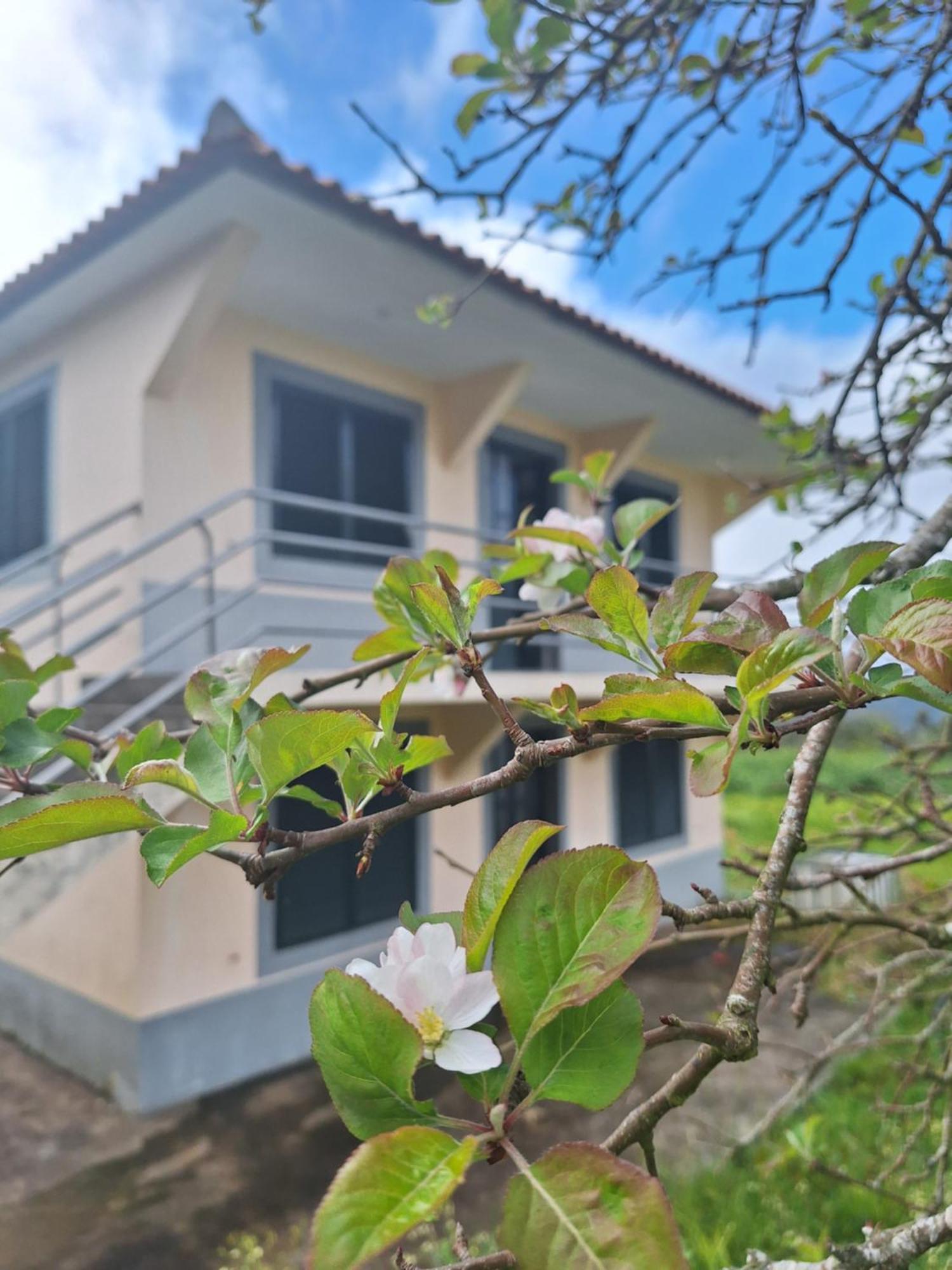 Villa Correia - Ribeiro Frio São Roque do Faial Kültér fotó